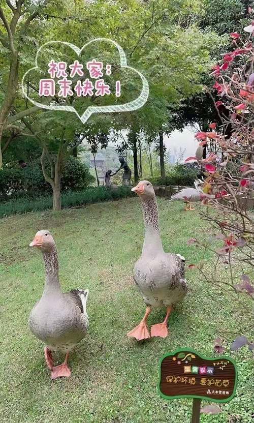 11.27.1_副本.jpg