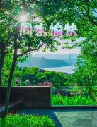 大本营智慧分享
