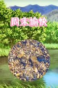 大本营智慧分享