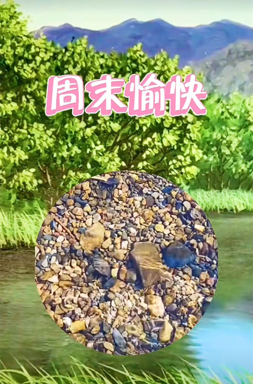12.12.1_副本.jpg