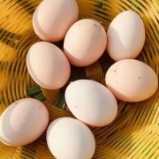 大本营早餐来了