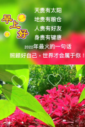 大本营智慧分享