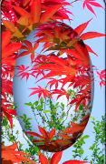大本营智慧分享