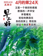 大本营智慧分享