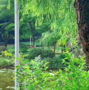 大本营智慧分享