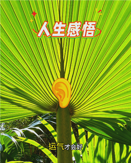 大本营智慧分享
