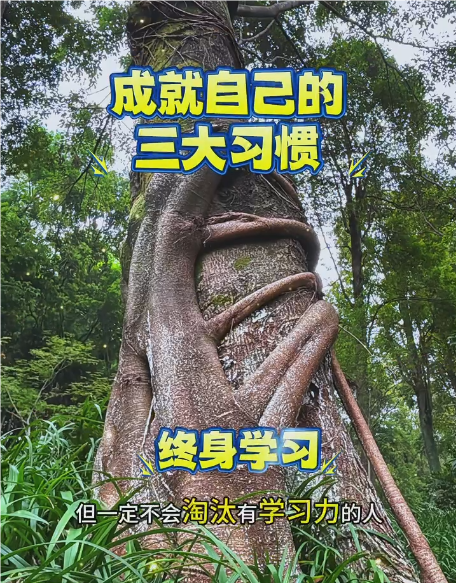 大本营智慧分享