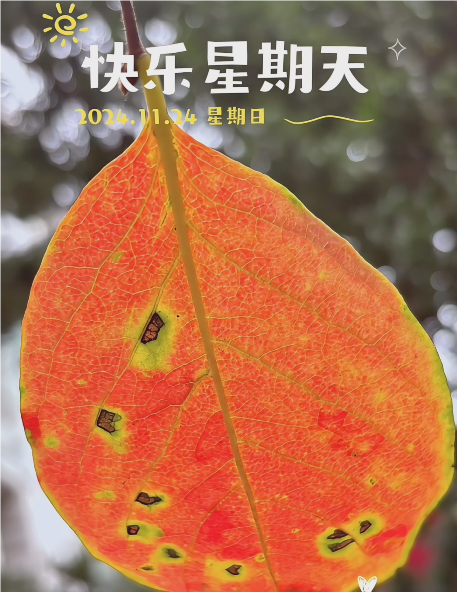 大本营智慧分享