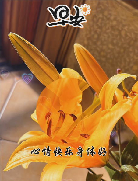 大本营智慧分享