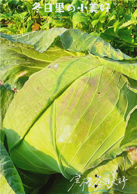 大本营智慧分享