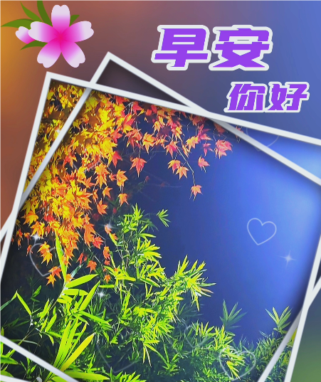 大本营智慧分享