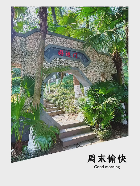 大本营智慧分享