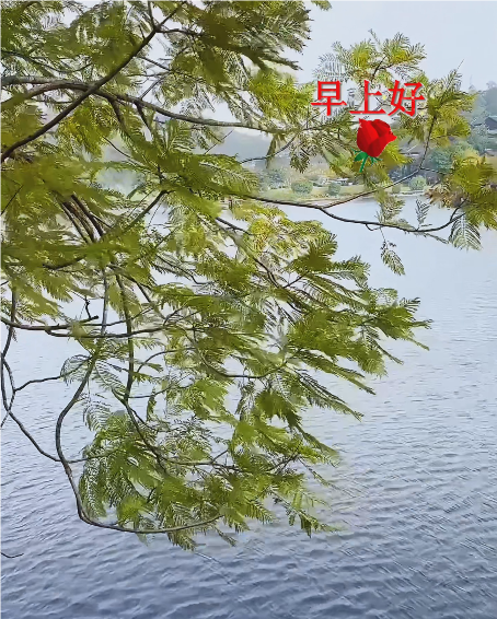 大本营智慧分享