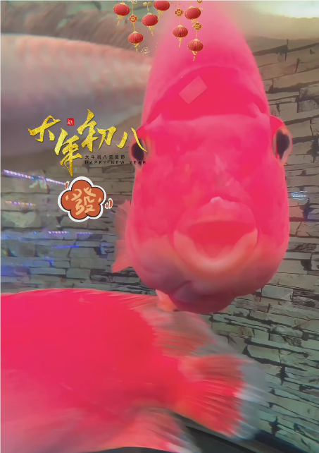 大本营智慧分享