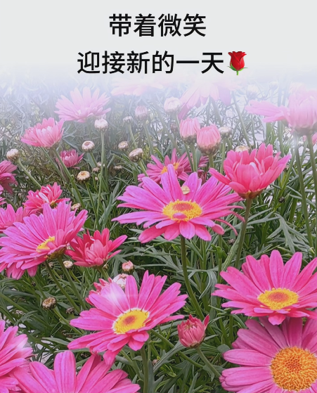 大本营智慧分享