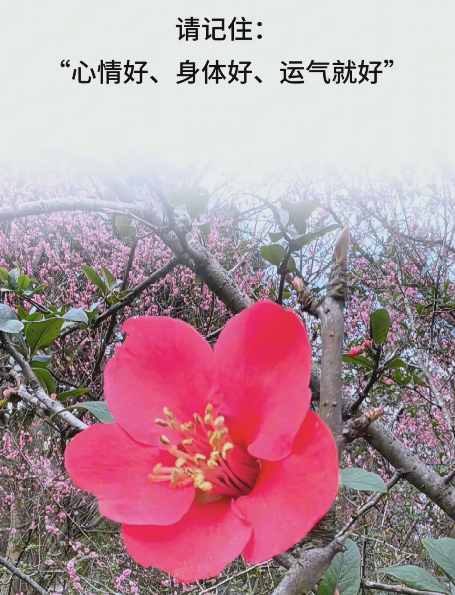 大本营智慧分享