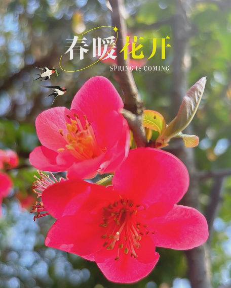 大本营智慧分享