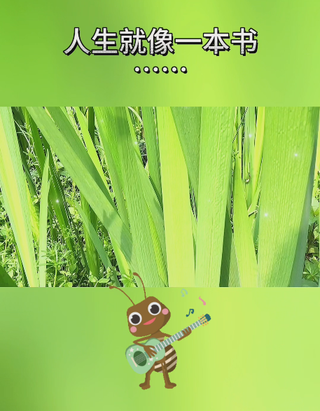 大本营智慧分享
