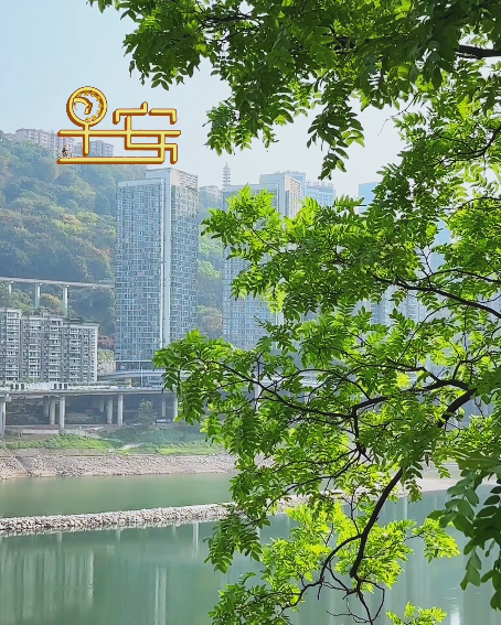 大本营智慧分享
