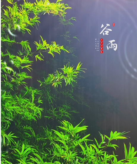 大本营智慧分享