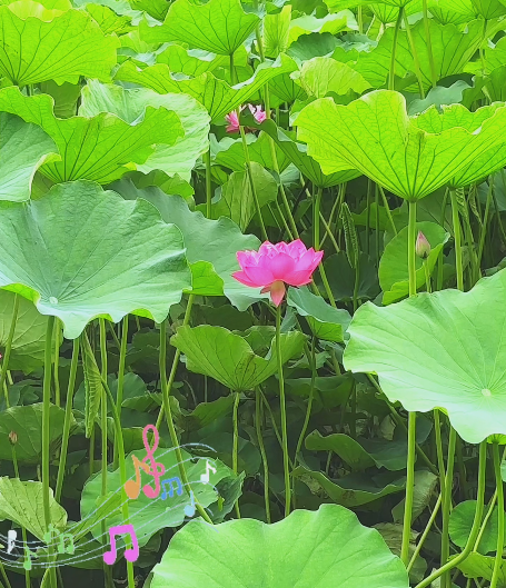 大本营早餐来了