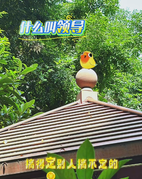 大本营早餐来了