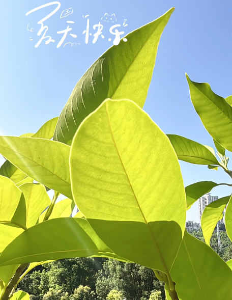 大本营早餐来了