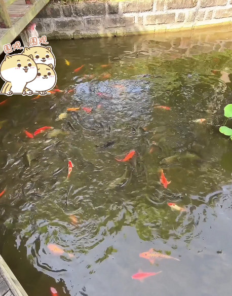 大本营早餐来了