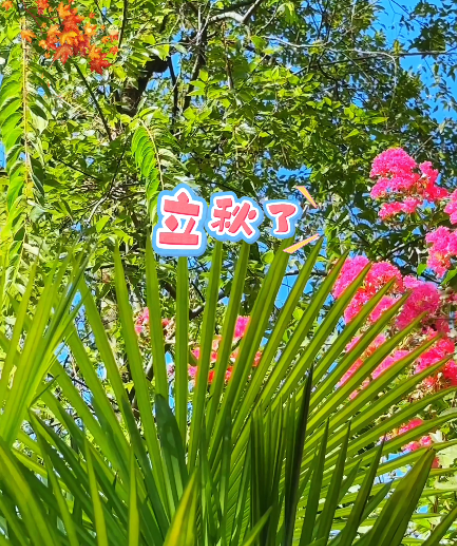 大本营早餐来了