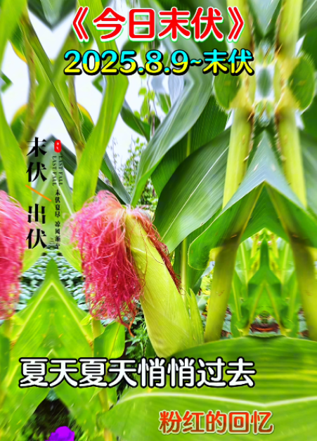 大本营早餐来了