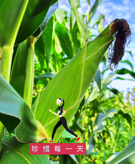 大本营早餐来了