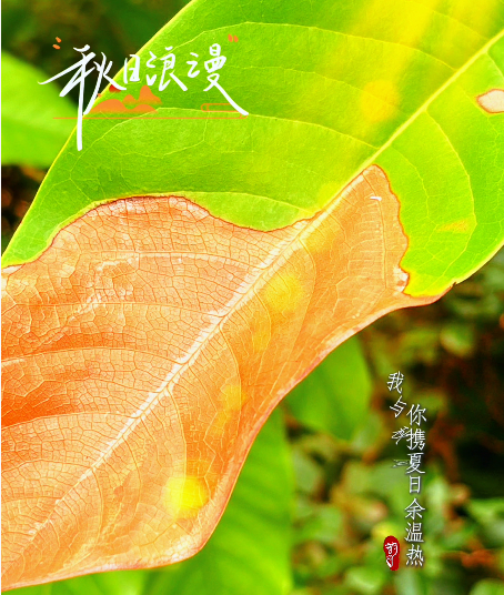 大本营早餐来了