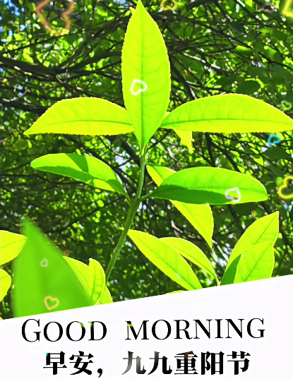 大本营早餐来了