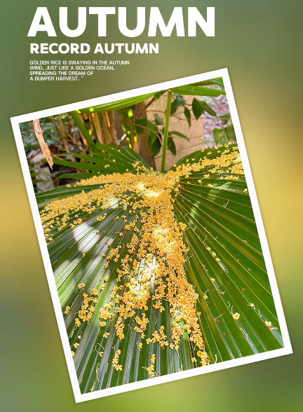 大本营早餐来了