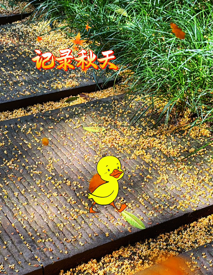 大本营早餐来了