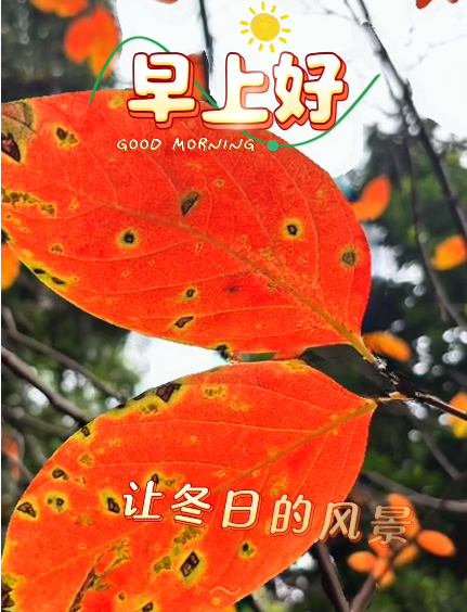 大本营早餐来了