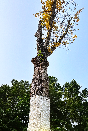 大本营早餐来了