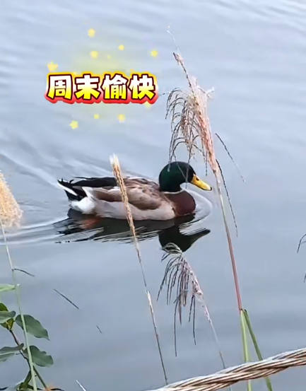 大本营早餐来了