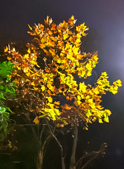 大本营早餐来了