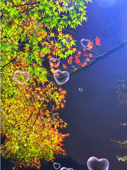 大本营早餐来了