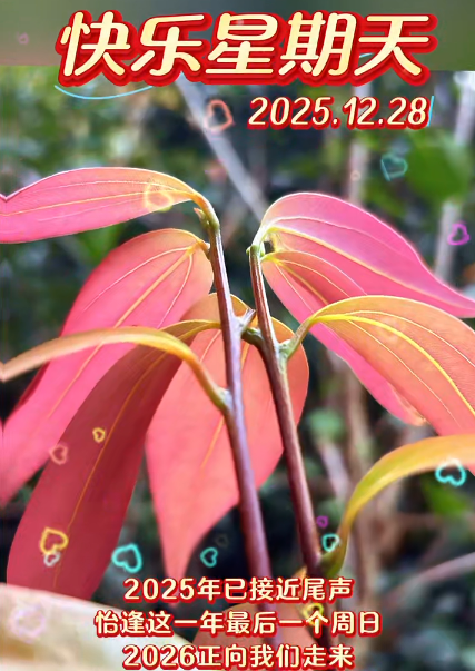 大本营早餐来了