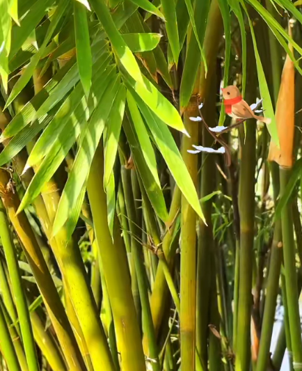 大本营早餐来了