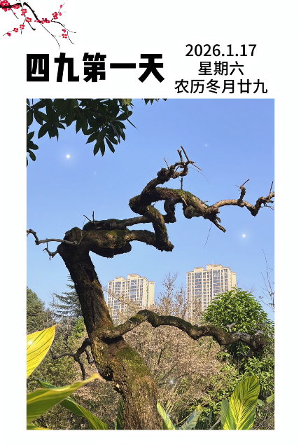 大本营早餐来了