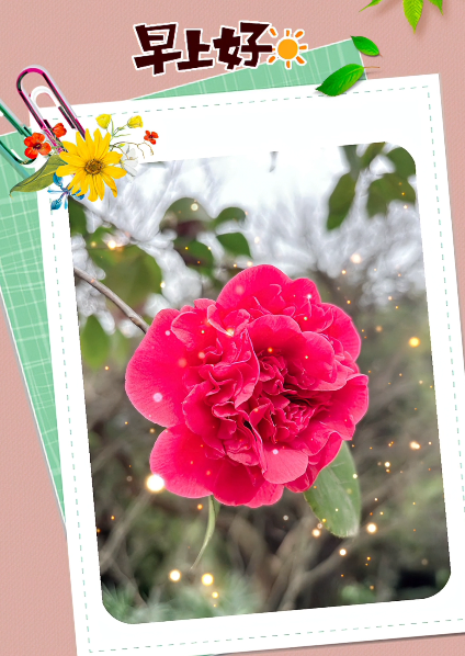 大本营早餐来了