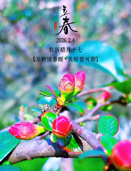 大本营早餐来了