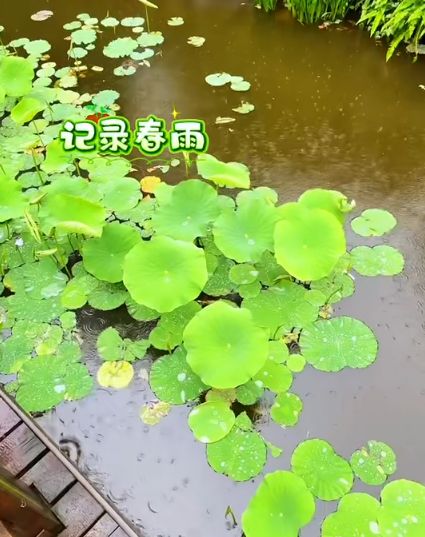 大本营早餐来了