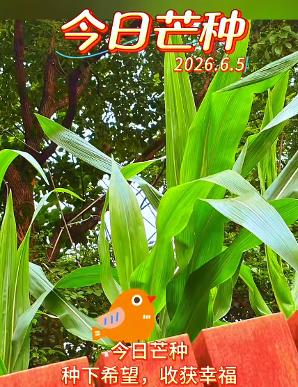 6.5.1.png