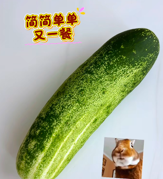 8.13.1.png